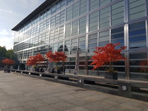 Autumn colours hit ETH's H&ouml;nggerberg campus