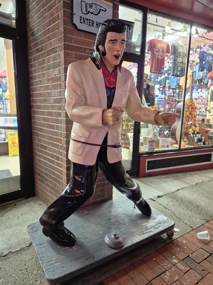 Elvis.jpg Elvis