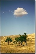 The Cloud