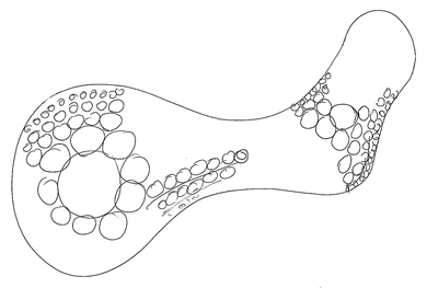 Initial sketch of fill algorithm