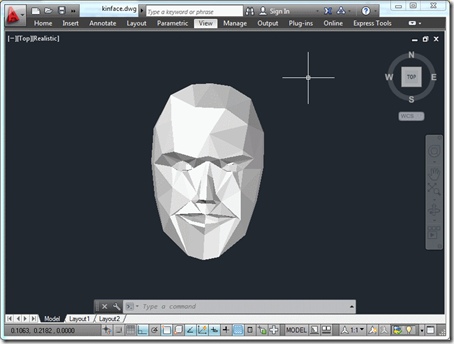 The captured output, a 3D face of 3D faces!