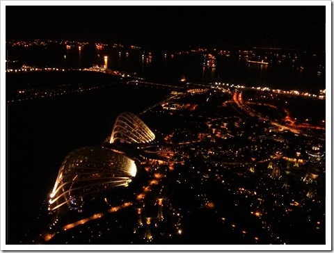 View from the Marina Bay Sands deck