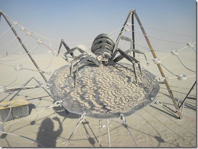 Creepy spider close up