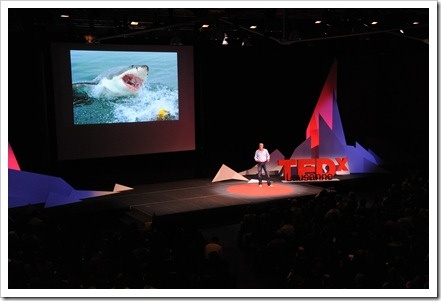 Andrew Sharman - swimming with sharks