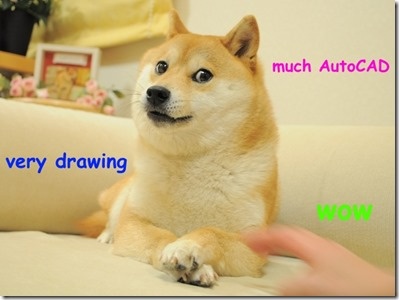 Doge