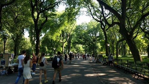 Central Park