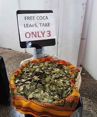 Free coca leaves at the airport