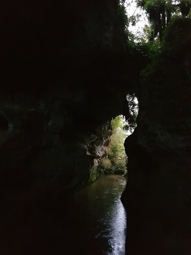 The Mangapohue Natural Bridge