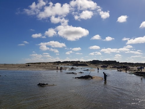 Whitebaiters on Horoki Beach