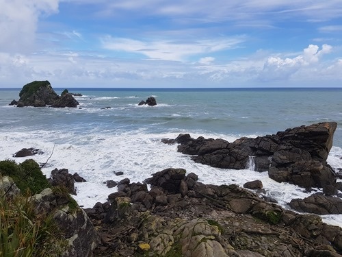 The Westport seal colony