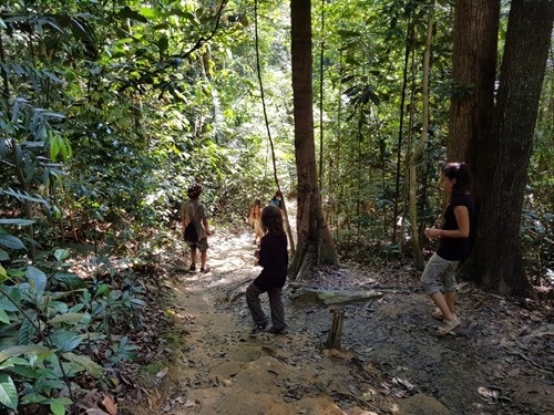 Walking through the jungle near Puchong