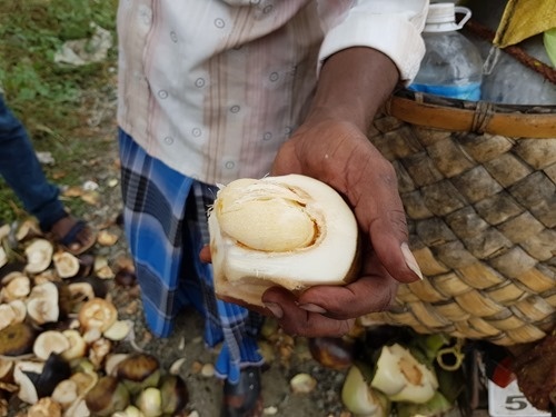 How they look once cut