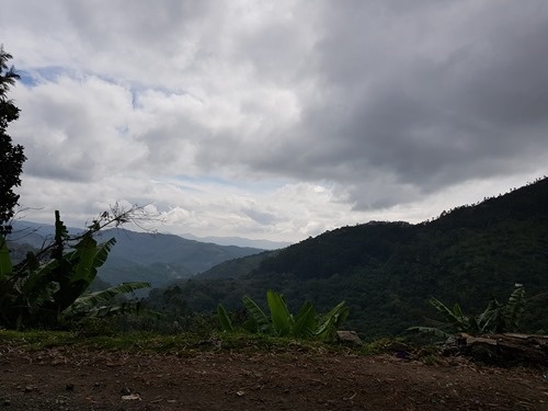 The view into the Palani Hills