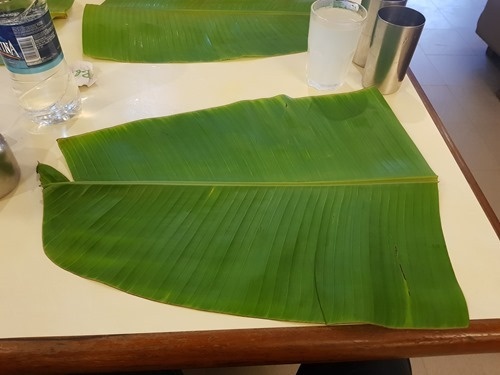 An empty banana leaf