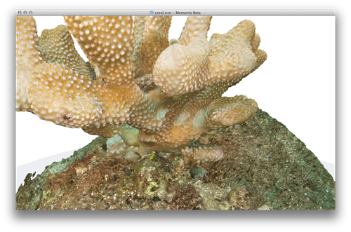Coral model in Memento on OS X