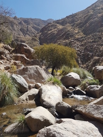 Plenty of water flowing through