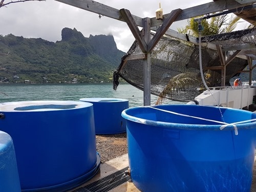 A lovely location to perform research