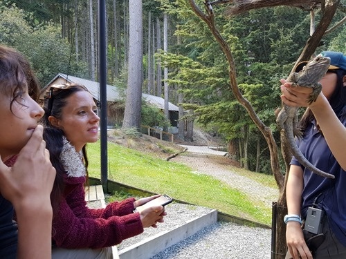 The Conservation Show at the Kiwi Birdlife Park