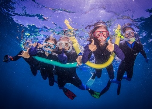 The Walmsleys snorkelling