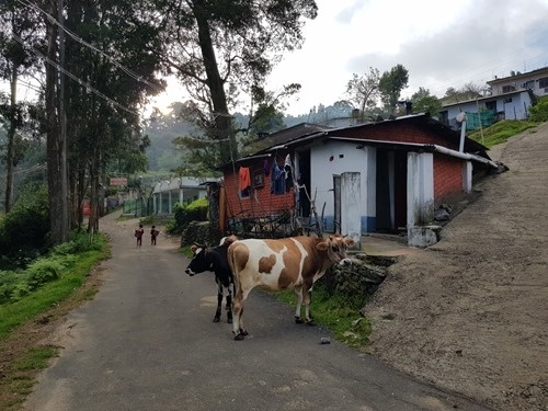 Heading home from school