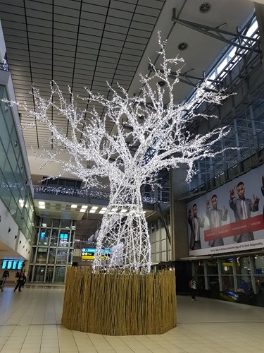 A nice tree in the airport