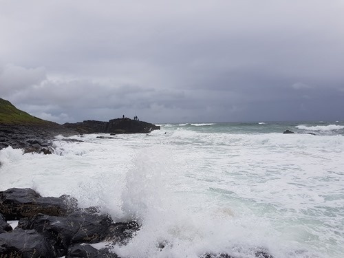 Men fishing from the shore