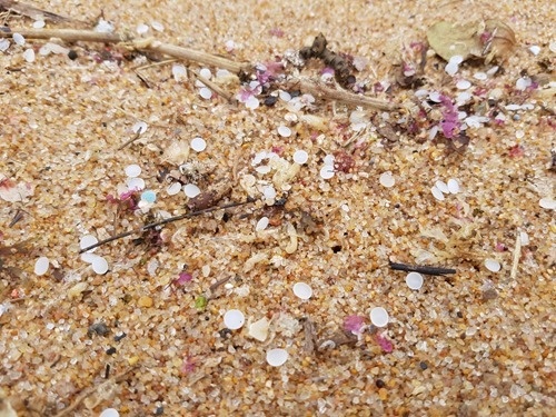 Nurdles on the beach
