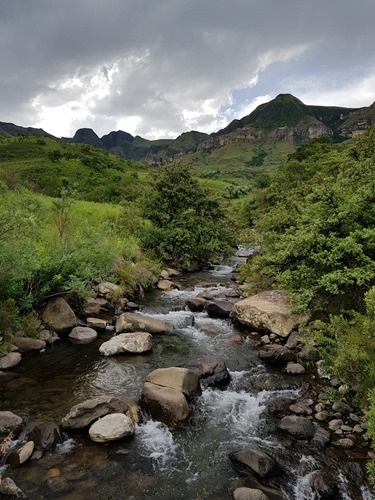 The same stream, different light