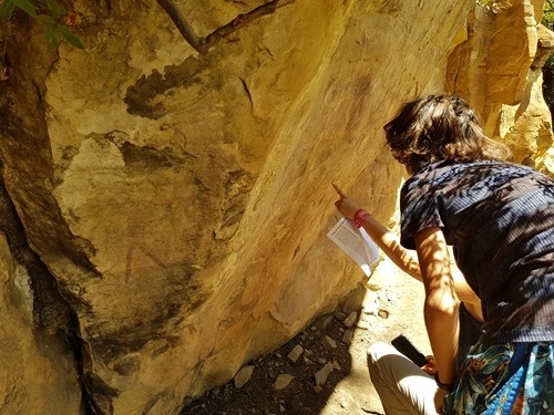 Checking out the details