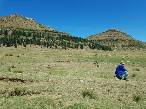 Sitting in the field