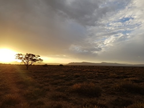 Camdeboo at sunset