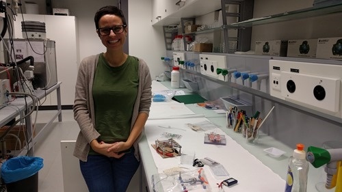 Alice T and her materials