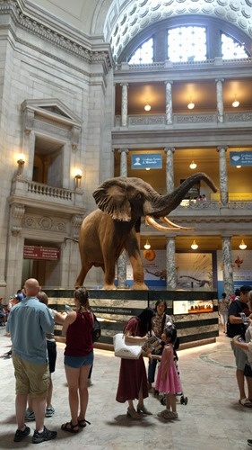 The National Museum of Natural History