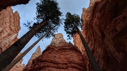 From the Navajo Loop Trail