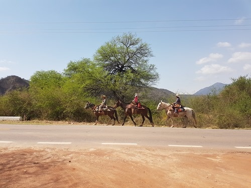 Pilgrims on horseback