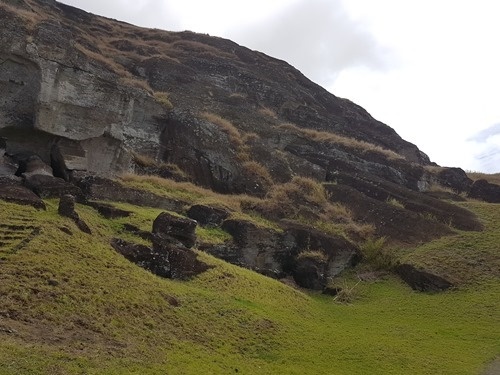 Some partially carved moai
