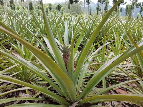 And this is why it's called that