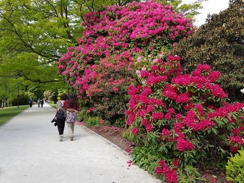 The botanical gardens in Queenstown