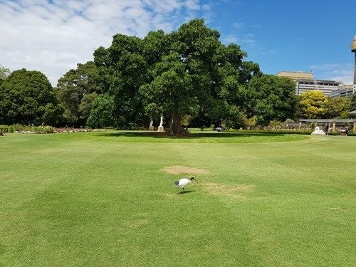 In the botanic gardens