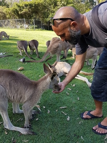 Feeding a kangaroo