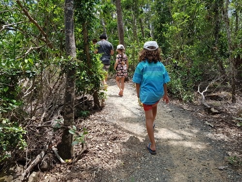 A bush walk