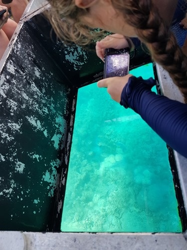 Anokhi capturing shots of the reef