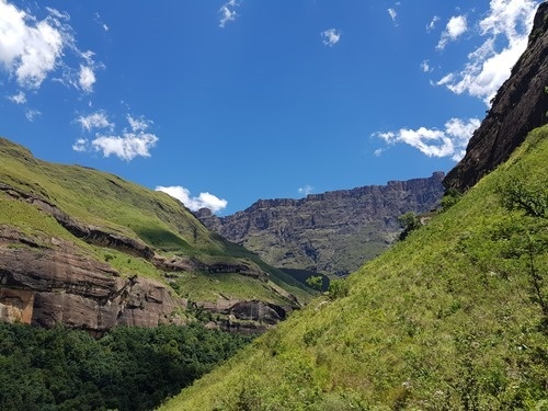 Which made pretty shadows