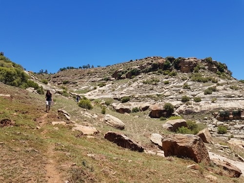 Along the side of the riverbed