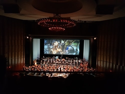 These are the droids you're looking for