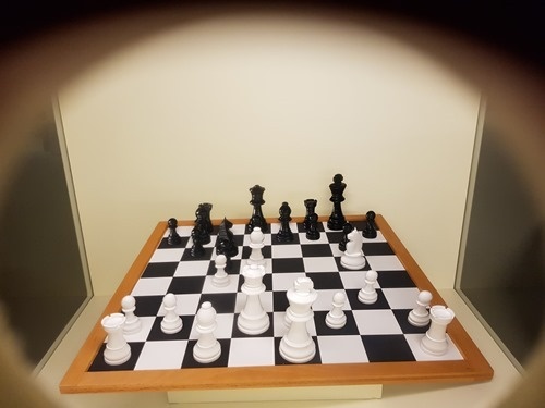 The view through a lens