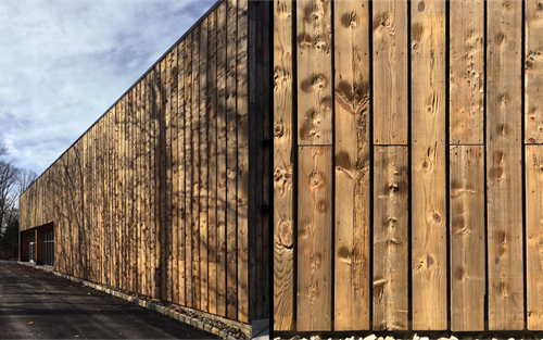 Princeton's Embodied Computation Lab