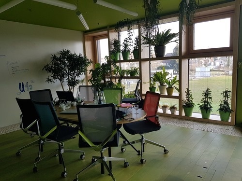 A green meeting room