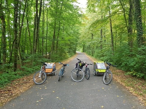Our bikes in the forest