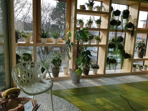 Lots of glass and plants